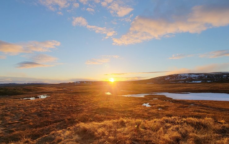 Matador Mining - Newfoundland Neufundland Cape Ray Gold Edelmetalle Exploration_CONNEKTAR.jpeg