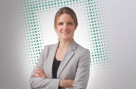 Puhahn-Schmeiser.png