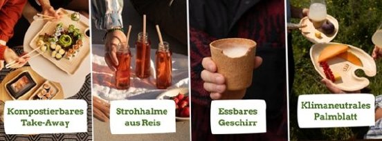 LEEF-x-wisefood-Nachhaltige-Produkte_590-583x215.jpg