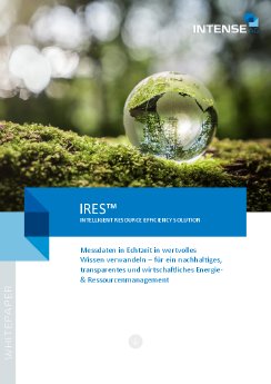 Whitepaper-Ressourceneffizienz-IRES.pdf
