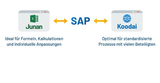 allevo-junan-und-koodai-03~-~media--d98c6261--query.png