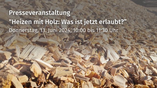 2024.05.30_Fachseminar Heizen mit Holz.png