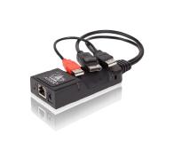 ALIF100T - DisplayPort