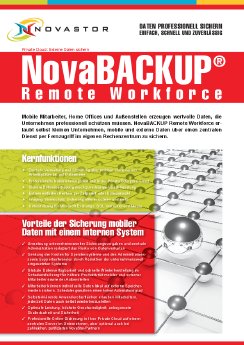 DATASHEET_Remote Workforce_12_DE_FEB11.pdf
