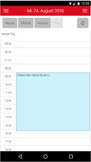 acceptIT Calendar Tagesansicht