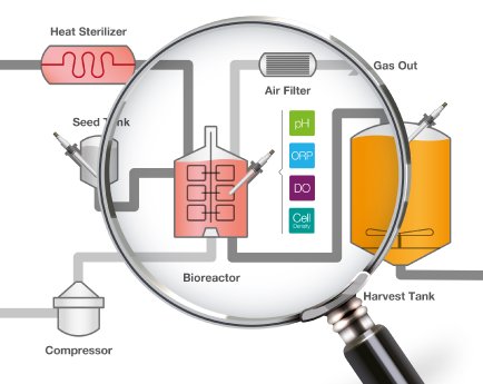 Kritische Prozessparameter im Bioreaktor.jpg