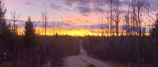 Golden-Cariboo-Projektfoto-1.jpg