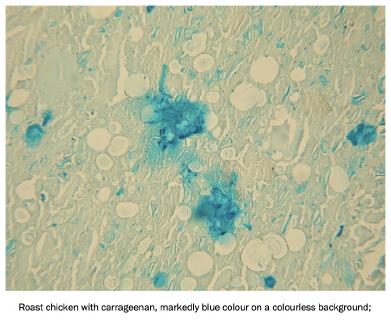 Roast chicken with carrageenan, markedly blue colour on a colourless background;