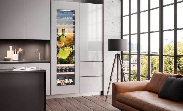 DM_PR_transparent stretched OLED_1772x1076x300.jpg