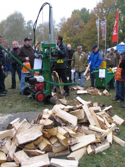 Heizen mit Holz_1.JPG