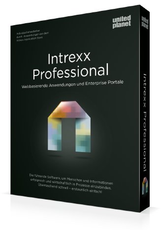 Packshot Intrexx Professional.png