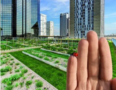Die innovativen Systeme der Dachbegrünung 4.0 von ZinCo haben das Potential, Dächer revolutionär neu zu nutzen – in Bezug auf Wasserrückhalt, Verdunstung und Biodiversität.