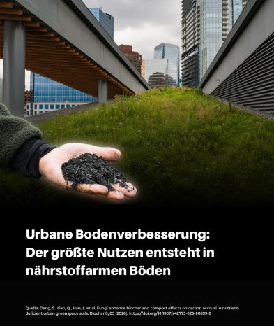 Abbildung.PNG