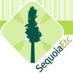 sequoia.gif