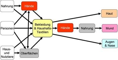 Schema der Übertragungswege von Keimen über Hände und Textilien (nach Bloomfield, 2011) © Hohenstein Institute