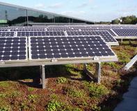 „Ohne Dachdurchdringung“ und gleichzeitig objektspezifisch anpassbar: Solarlösungen + Dachbegrünung für nahezu alle Dachsituationen