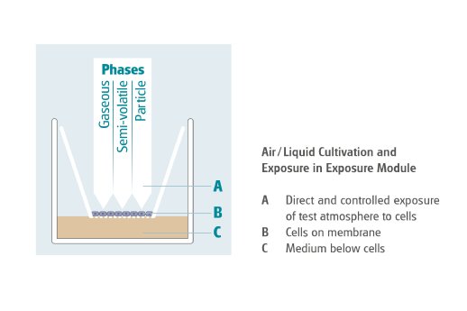 Graph-2__Air-Liquid-cultivation.jpg