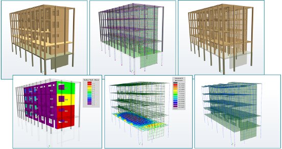 Timber Structure Analysis and Design.png