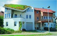 Marktpotential Schrägdächer: Viel mehr Dächer könnten grün aussehen.