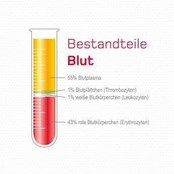 digital-2021-infografik-1080x1080px-bestandteile-blut-haema.png