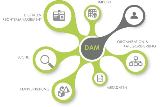 DAM_United_bietet_Full_Service_für_anspruchsvolle_Multimedialösungen_im_Enterprise-Bereich_.jpg