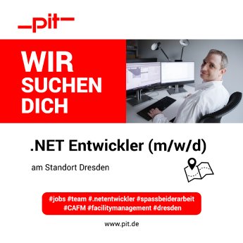 SOME-pit-.NET-Entwickler.png