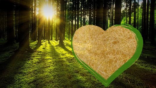 die Vielseitigkeit natürlicher Holzwolle