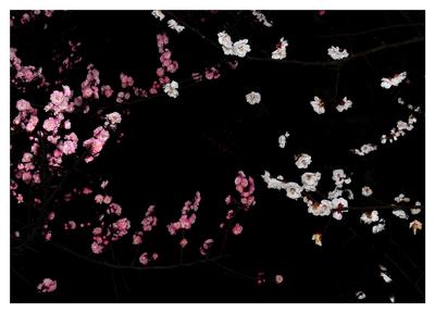 Sascha Weidner, Dots II, 2013, Pigmentprint, 70 cm x 100 cm, Courtesy of Entrepreneur 4.0 Award (© Sascha Weidner)