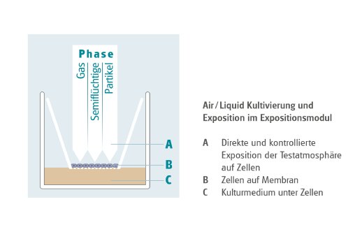 Grafik-2__Air-Liquid-Kultivierung.jpg