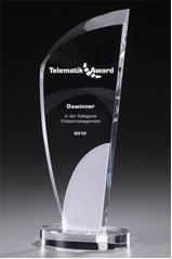 Telematik Award 2010