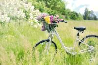 Nanotol versiegeltes Fahrrad