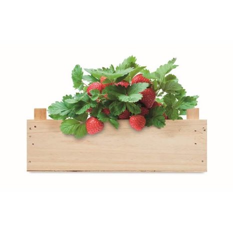 17650640_Saat_Set_Erdbeere_STRAWBERRY_holzfarbend_.jpg