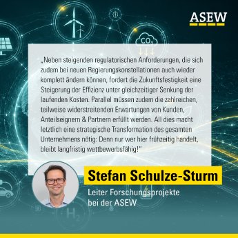 Zitat_ASEW_Stefan Schulze-Sturm_RoadmapSWSelfAssessment-Tool.jpg