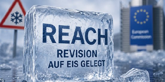 2026-04-29-REACHRevision.png