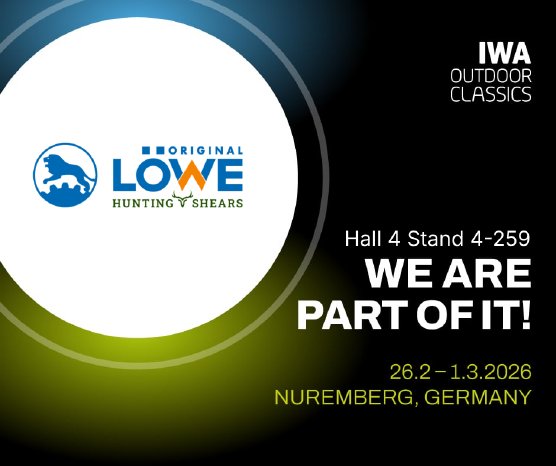 EN - Customisable LinkedIn Post 940x788.png