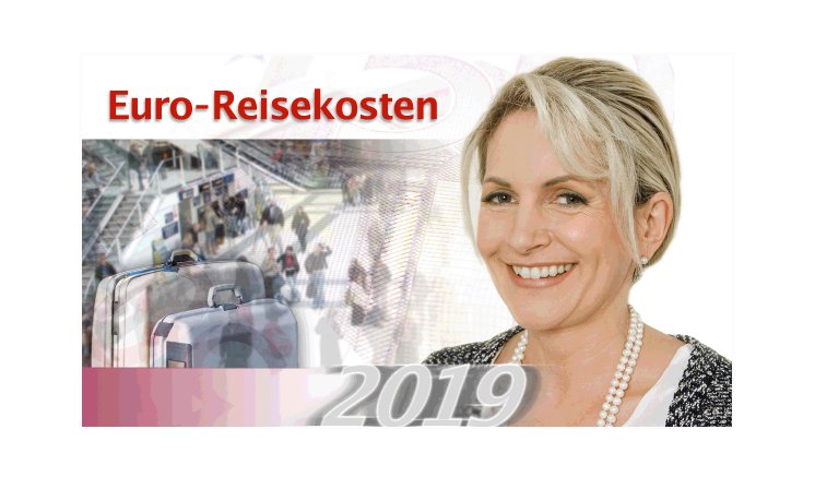 Euro-Reisekosten-2019.gif