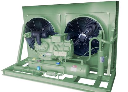 La nuova unità condensatrice BITZER LH265E è particolarmente adatta per l'impiego nelle regioni calde.