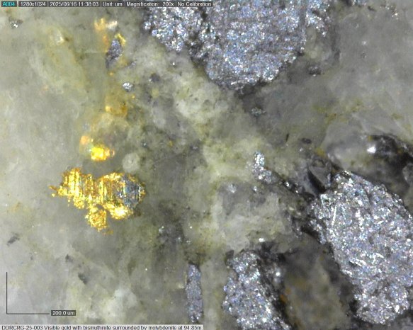 Sitka Gold - DDRCRG-25-003_94,85m.jpg