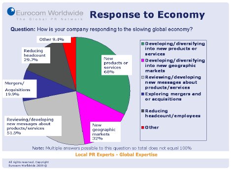Eurocom Worldwide Tech Survey 2009 Response to Economy.jpg
