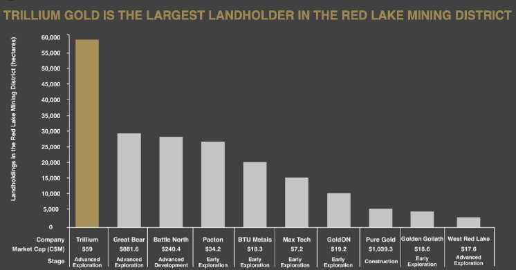 Trillium Gold Mines.png