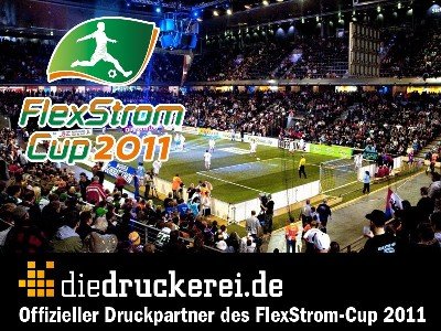 FlexStromCup2011-Logo400x300.jpg