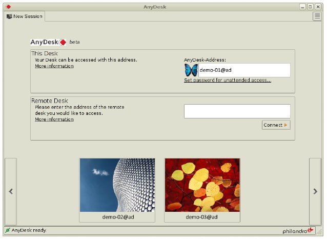 Screenshot AnyDesk Linux_01.png
