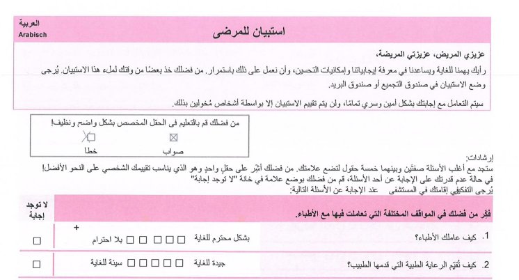 anaQuestra_Auszug_arab_Fragebogen.jpg
