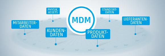 Master Data Management