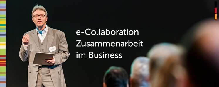 e-collaboration-hasford-vortrag-berater-2018.png