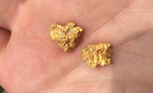 Goldnuggets vom CSD-Projekt / Foto: TriStar Gold