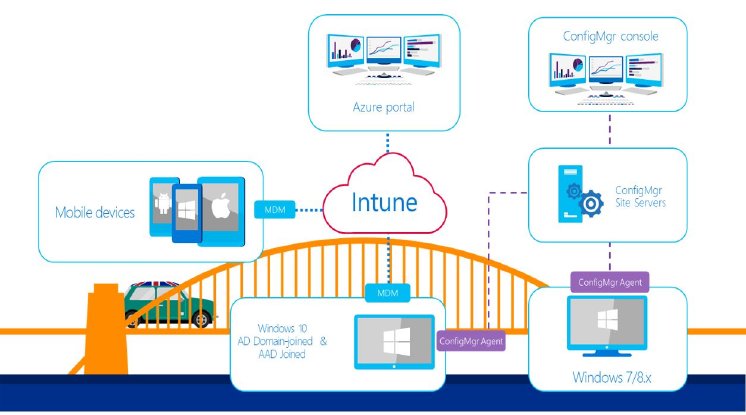 Microsoft Intune.JPG