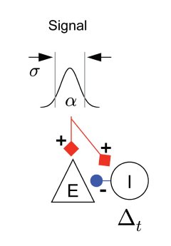 Biologie_Kremkow_Aertsen_Gehirnsignale.jpg