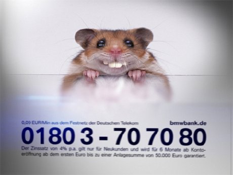 BMW_Bank_Dialog_Branding_TV-Spot-Hamster.jpg