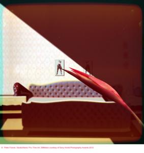 Peter Franck, Deutschland, Pro, Fine Art, Stillleben courtesy of Sony World Photography Awards 2012